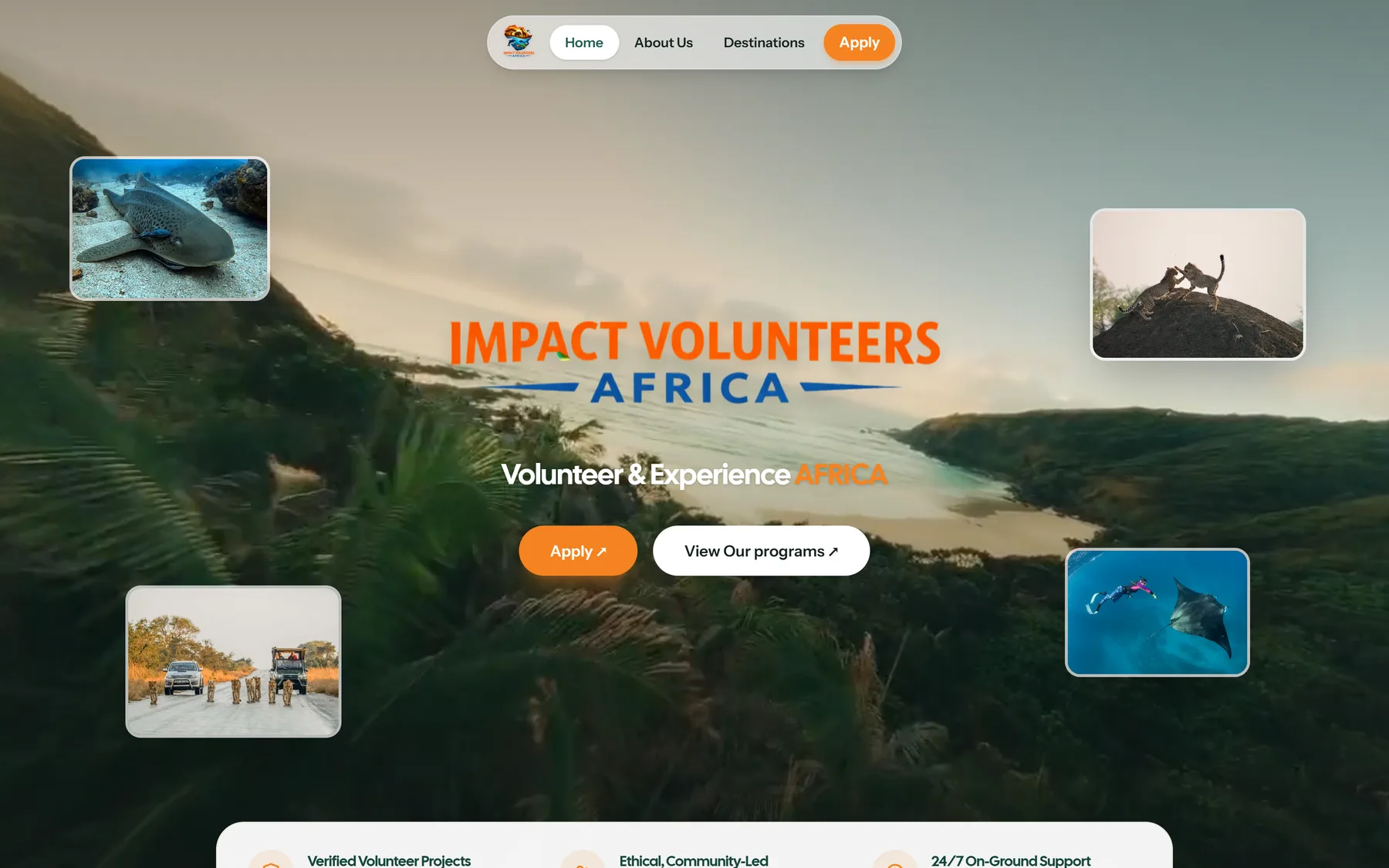 The Impact Volunteers Africa website